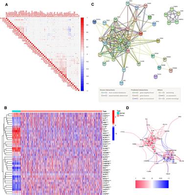 Prognostic and Immune Implications of a Novel Pyroptosis-Related Five-Gene Signature in Breast Cancer